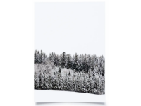 4679 Postkarte Winterwals weiss hoch