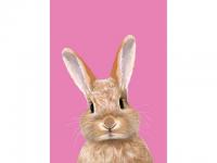 Postkarte nobis design Hase pink