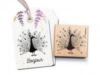 Stempel cats on appletrees Pfau August