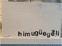 Holz-Wort 15 x 25 cm "himugüegeli" (Marienkäfer)