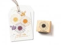 Stempel cats on appletrees Sonnenblume